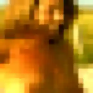 Veronique de Acy-en-Multien, 43 ans - rencontre cougar sans lendemain