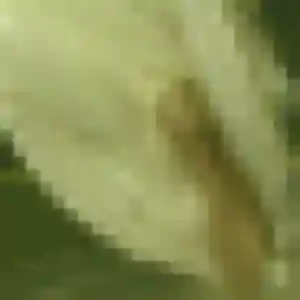 Dominique (49 ans) à Aigremont attend une rencontre rapidement