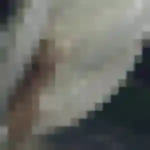Photo perso de Dominique, 44 ans à Alexain - rencontre sans lendemain