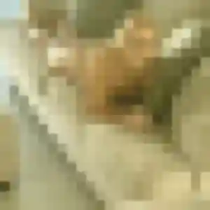 Marie-Therese (46 ans) à Allouville-Bellefosse cherche une rencontre maintenant