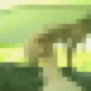Elisabeth, fille de 41 ans cherche rencontre cougar à Amfreville-la-Mi-Voie