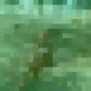Fabienne (46 ans) à Annœullin cherche un rencontre cougar ce soir