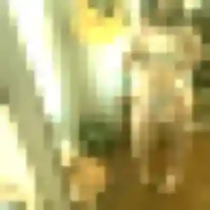 Photo exclusive de Caroline, 39 ans à Anzin - rencontre coquine