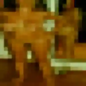 Nicole, fille de 55 ans propose rencontre cougar à Aoste