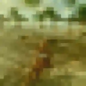 Fabienne, femme de 49 ans cherche rencontre cougar à Aubertin