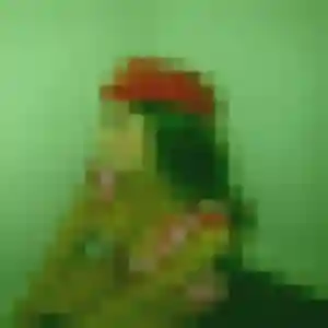 Sandrine, 52 ans, disponible à Auch pour une rencontre coquine