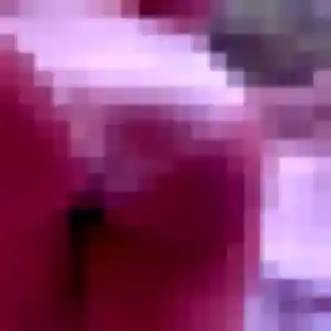 Photo perso de Delphine, 41 ans à Auterive - plan discret