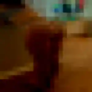 rencontre cougar à Auvillar : photo de Christelle, 53 ans - sans engagement