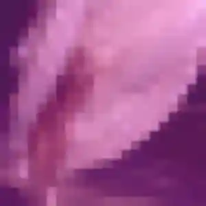 Profil de Dominique à Auzouville-sur-Ry (53 ans) - rencontre cougar anonyme
