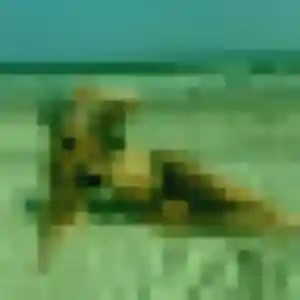 Profil de Monique à Avesnes-sur-Helpe (55 ans) - rencontre cougar gratuit