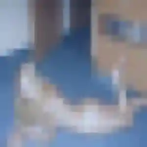 Karine, 53 ans, en ligne à Avrechy pour un rencontre cougar