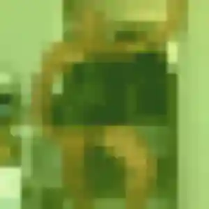 Photo perso de Francoise, 45 ans à Avremesnil - plan discret