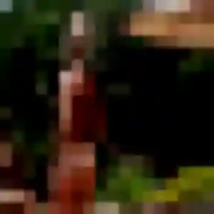 Photo perso de Martine, 53 ans à Balanzac - rencontre coquine