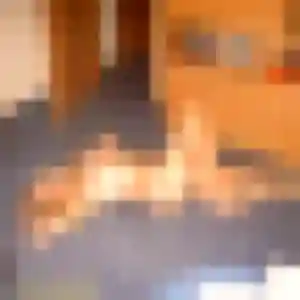 Stephanie, femme de 41 ans propose rencontre cougar à Baldenheim