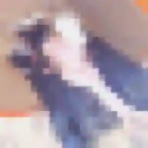 Danielle, femme de 51 ans veut rencontre cougar à Ballainvilliers