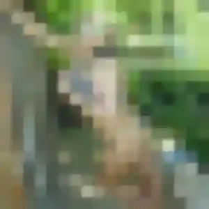 Photo sexy de Alexandra, 43 ans à Baneins - rencontre sans lendemain