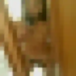 Christine, femme de 46 ans veut rencontre cougar à Barjols
