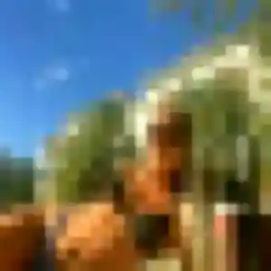 Jocelyne (37 ans) à Bassillac et Auberoche cherche une rencontre aujourd'hui