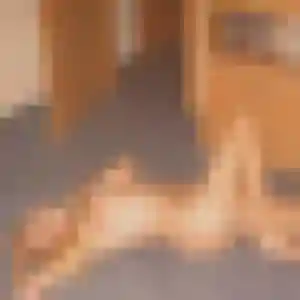 Rencontre Stephanie, 47 ans à Beaulieu en privé
