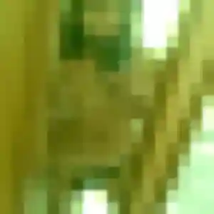 Contacte Christine, 45 ans à Beaulieu-sur-Dordogne en privé