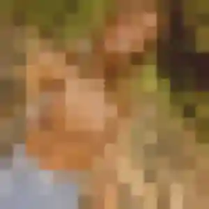 Photo privée de Pierrette, 37 ans à Beine-Nauroy - rencontre coquine