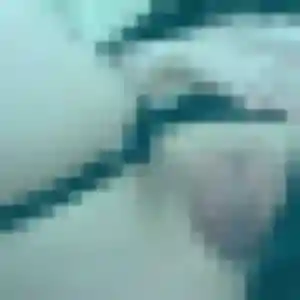 Photo perso de Yvette, 41 ans à Bélarga - rencontre coquine