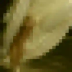 Dominique, 47 ans, connectée à Belmont-de-la-Loire pour une rencontre coquine