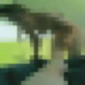 Elisabeth, 45 ans, disponible à Bénéjacq pour une rencontre coquine