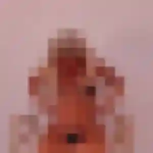 rencontre cougar à Bengy-sur-Craon : photo de Pascale, 49 ans - inscription gratuite