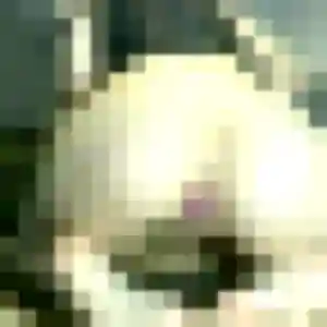 Profil de Catherine à Bernes-sur-Oise (52 ans) - rencontre cougar anonyme