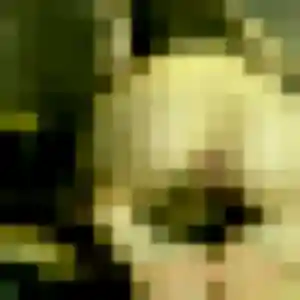 Catherine, femme de 44 ans cherche rencontre cougar à Bernwiller