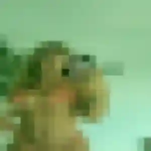 Photo perso de Christelle, 48 ans à Besson - plan discret