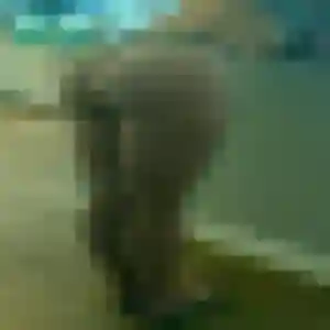 Christelle, 38 ans, en ligne à Betton pour un rencontre cougar