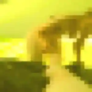 Profil de Elisabeth à Bidos (45 ans) - rencontre cougar anonyme