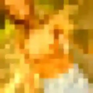 Photo exclusive de Pierrette, 44 ans à Bollène - rencontre coquine