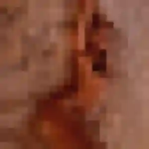 Charmante Aurelie, 35 ans à Bolleville - la contacter
