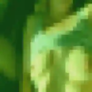 Valerie, 50 ans, dispo pour rencontre cougar à Bonnebosq
