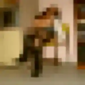Veronique, 55 ans, veut un rencontre cougar à Bonnes
