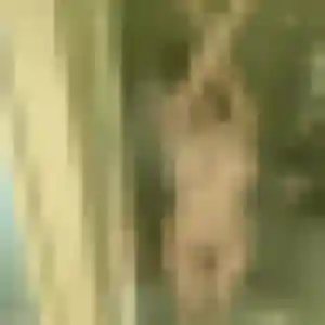 Genevieve, 45 ans, cherche un rencontre cougar à Bonningues-lès-Calais