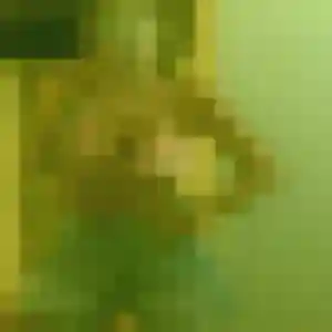 Photo de Jacqueline à Bonnut (45 ans) - rencontre cougar discret