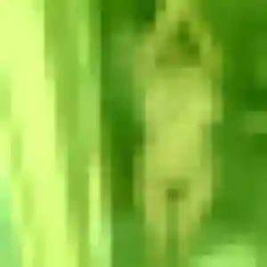 Genevieve, fille de 48 ans cherche rencontre cougar à Boulay-Moselle