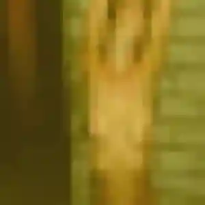 Paulette de Boulogne-sur-Mer, 54 ans - rencontre cougar sans lendemain