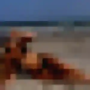 Monique, 39 ans, cherche un rencontre cougar à Bourthes