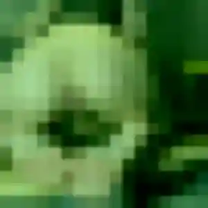 Profil de Catherine à Boussois (54 ans) - rencontre cougar gratuit