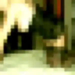 Pascale, femme de 36 ans cherche rencontre cougar à Bout-du-Pont-de-Larn