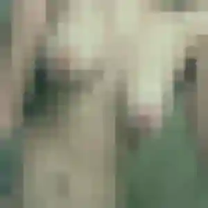 Florence, 43 ans, dispo pour rencontre cougar à Boutiers-Saint-Trojan