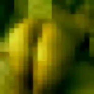Photo sexy de Patricia, 40 ans à Bouvaincourt-sur-Bresle - plan discret