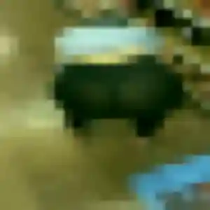 Roselyne, 48 ans, veut un rencontre cougar à Bray-et-Lû