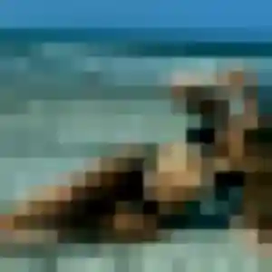 Photo perso de Monique, 41 ans à Breistroff-la-Grande - rencontre coquine