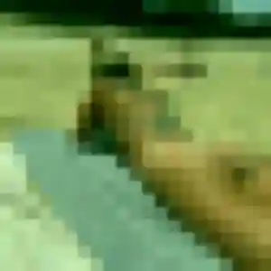 Profil de Anne-Marie à Bretignolles (47 ans) - rencontre cougar sans inscription